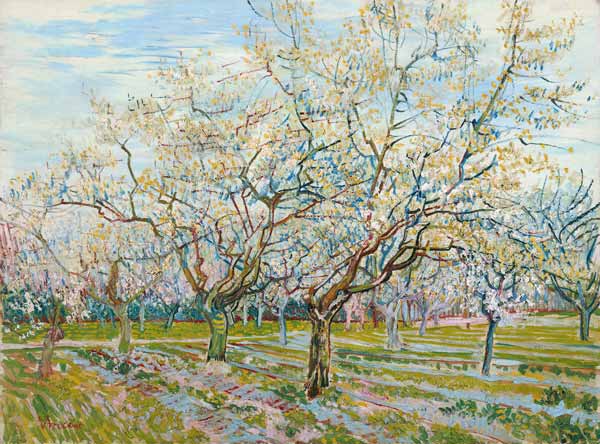 Der weiße Obstgarten von Vincent van Gogh
