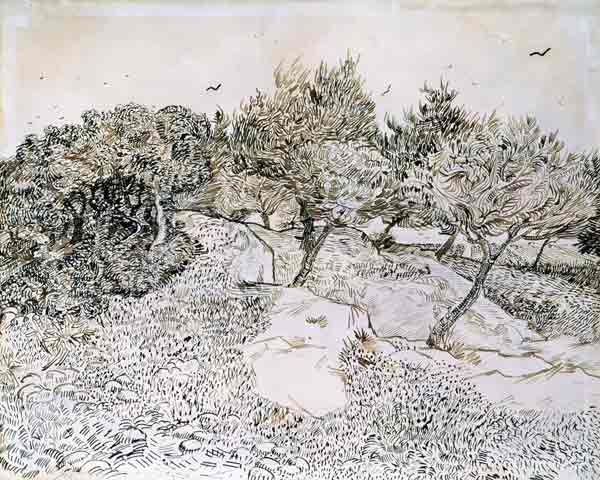 Olivenhain bei Montmajour von Vincent van Gogh