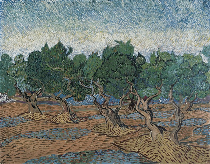Olivenhain von Vincent van Gogh