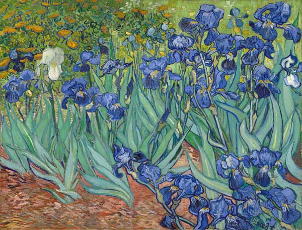 Iris (Schwertlilien) von Vincent van Gogh