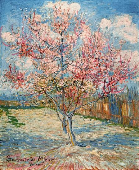Blühende Pfirsichbäume 1888