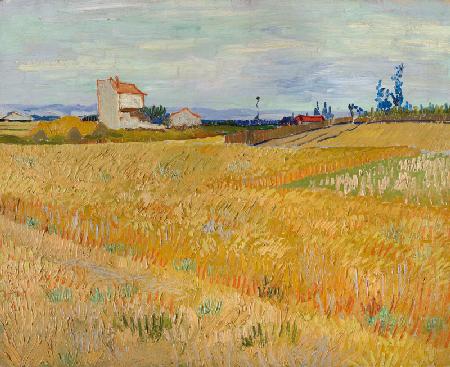 Cornfield 1888