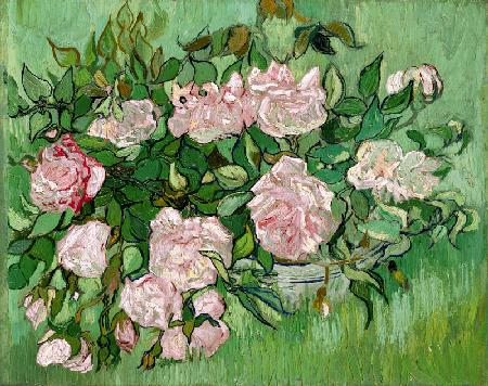Pink Roses 1890
