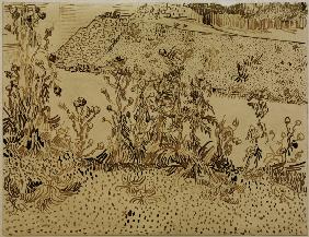 V.v.Gogh, Thistles along Roadside /Draw.
