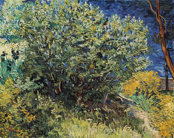 Flieder von Vincent van Gogh