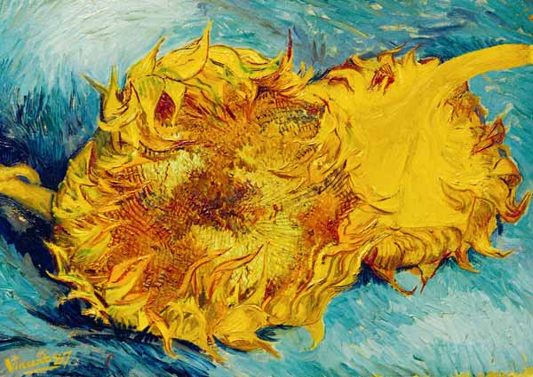 zwei abgeschnittene Sonnenblumen von Vincent van Gogh