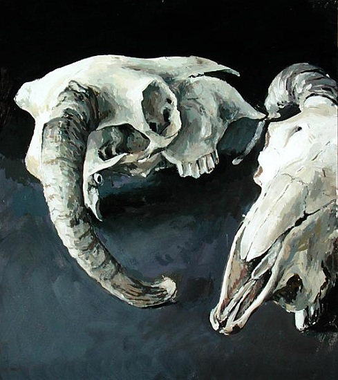 Sheep Skulls von  Vincent  Yorke