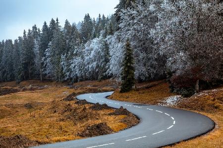 Die Straße und die gefrorenen Bäume