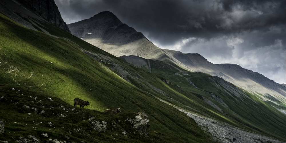 Albula Pass, Switzerland von Vito Guarino