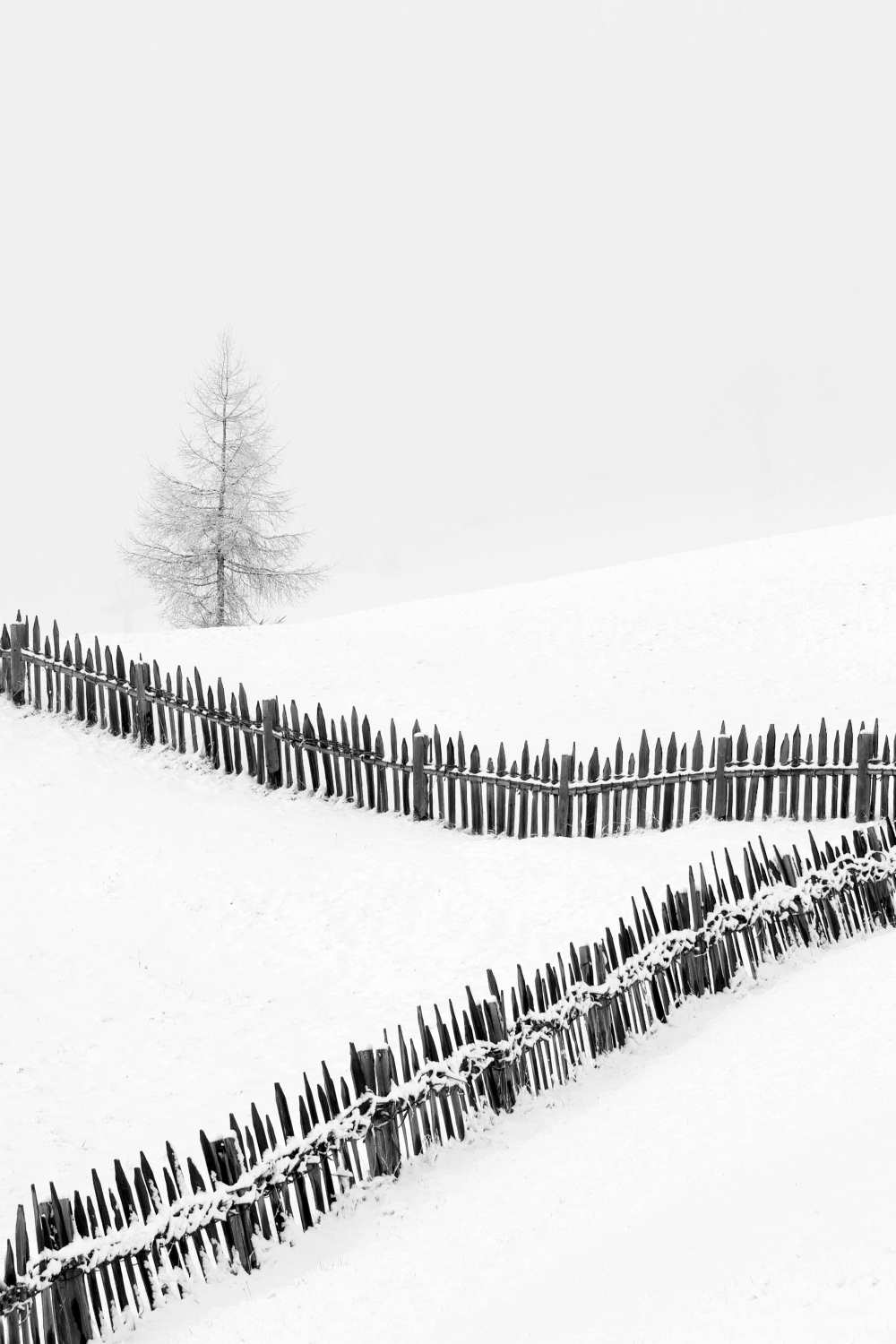 Fences: Playing with lines von Vito Miribung