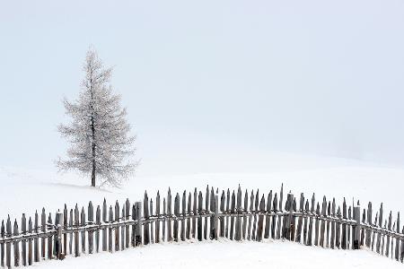 Weicher Nebel