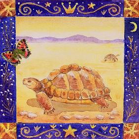 Tortoise, 1998 (w/c on paper) 