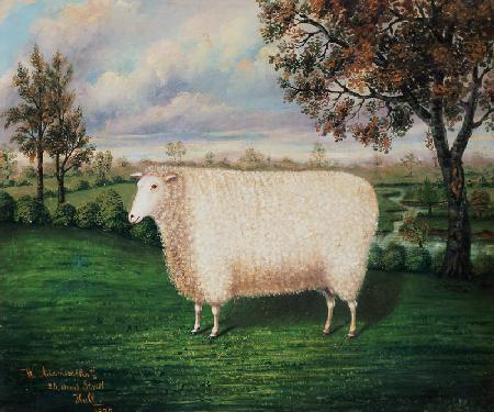 A Prize Sheep of the Old Lincoln Breed 1835