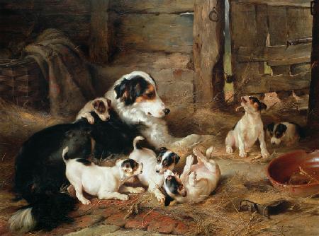 Hundefamilie