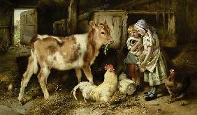 Kinder füttern ein Kalb und Hühner 1887