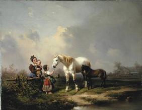 Feeding the Mare and the Foal