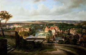 Blick auf Quedlinburg vom Schlossberg 1856
