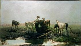 Calves at a Pond 1863