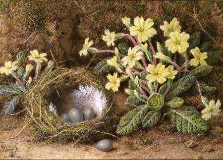 Still Life of Eggs in a Nest and Primroses von William B. Hough