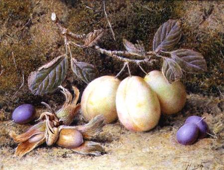 Still Life with plums and nuts von William B. Hough