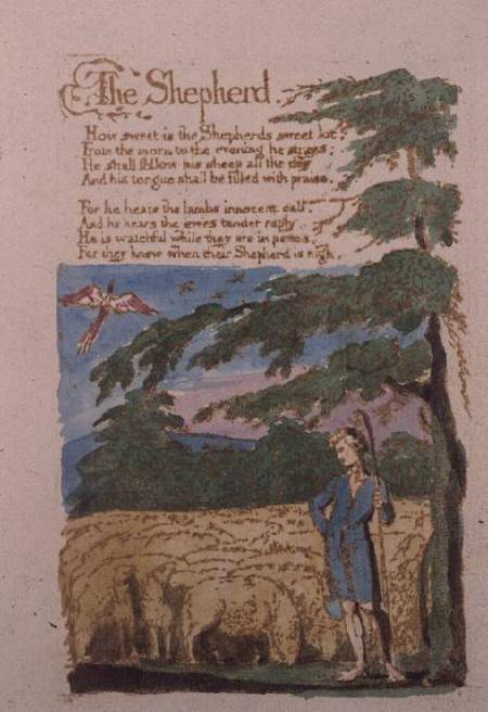 The Shepherd from Songs of Innocence von William Blake