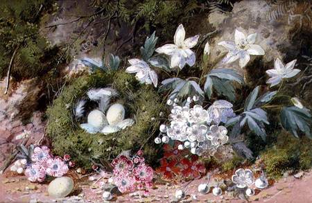 Still Life with Bird's Nest von William Cruikshank