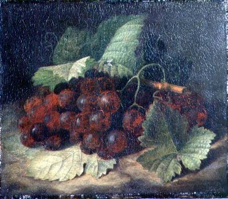 Still Life of Grapes von William Hammer