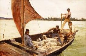 A Breezy Crossing 1893