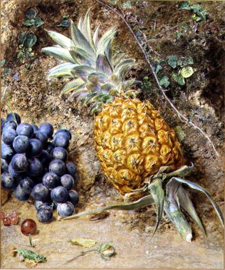 Grapes and a Pineapple von William Henry Hunt