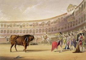 The Matador, 1865 (colour litho) 17th