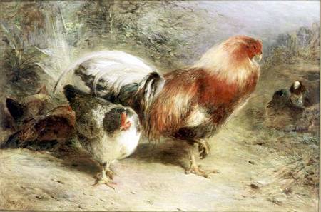 Poultry von William Huggins