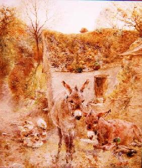 Donkeys and Ducks in a Farmyard 1870