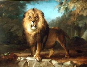 A Lion 1840