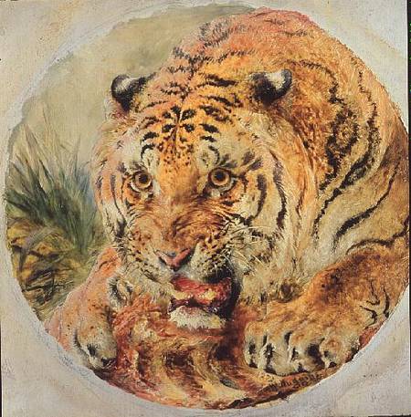 Tiger's Head von William Huggins