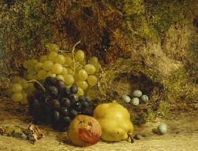 Trauben, ein Apfel, eine Birne und ein Vogelnest auf Moos 1865