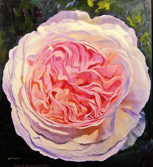 Victorian Rose von William  Ireland