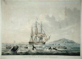 South Sea Whale Fishery, engraved by T. Sutherland 1825 our