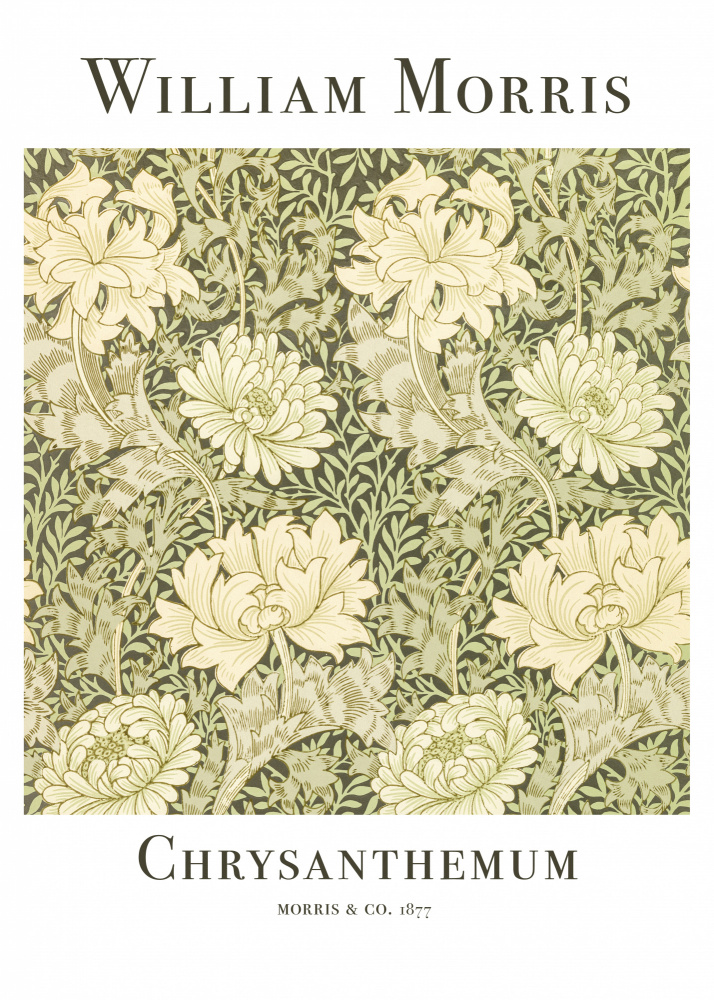 Chrysantheme von William  Morris