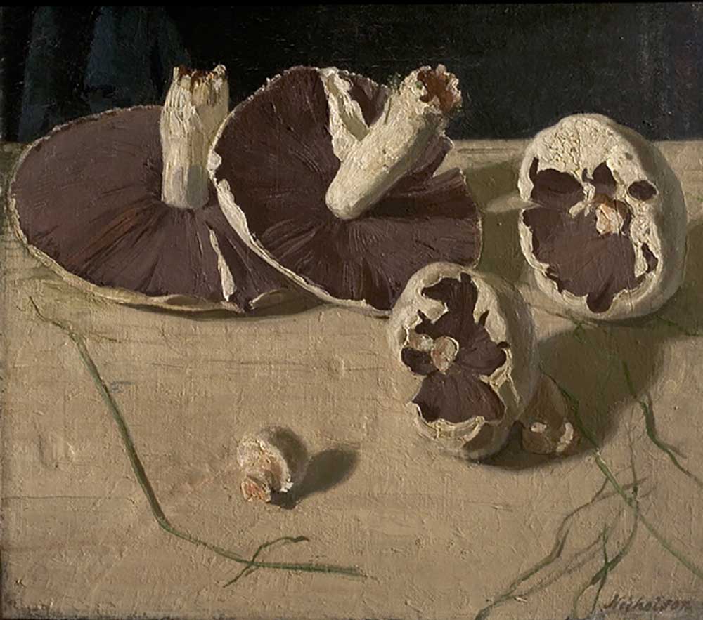 Pilze, 1927 von William Nicholson