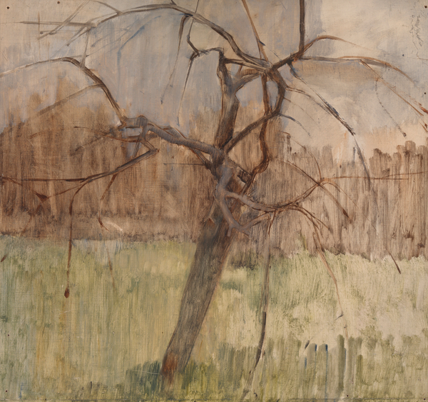 Apple Tree von William  Packer