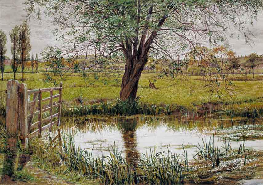 Water Meadow 1865