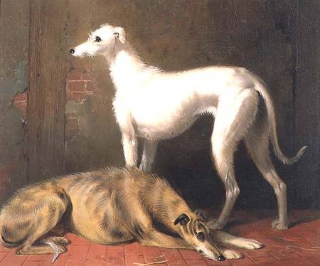 Dreaming of the Chase: Scottish Deerhounds von William u. Henry Barraud