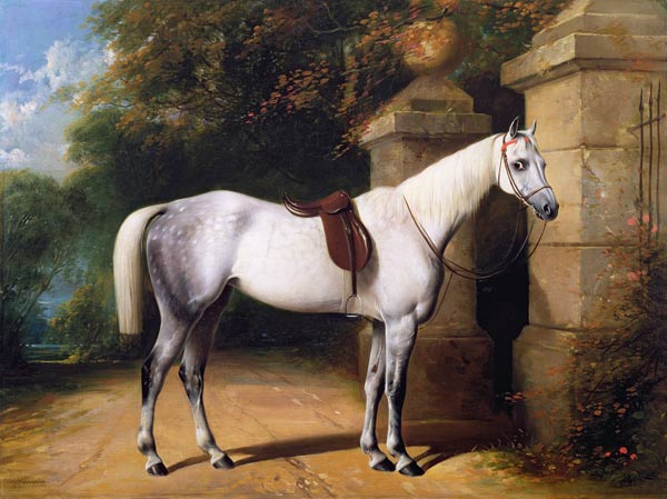 A Grey Horse by Park Gates von William u. Henry Barraud