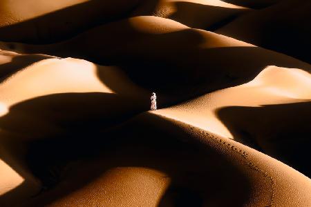 Der Wüstenspaziergang