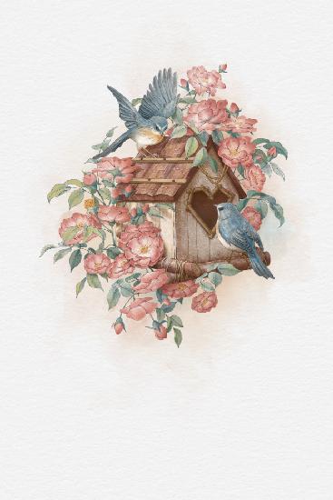 Vogelhaus und Rose